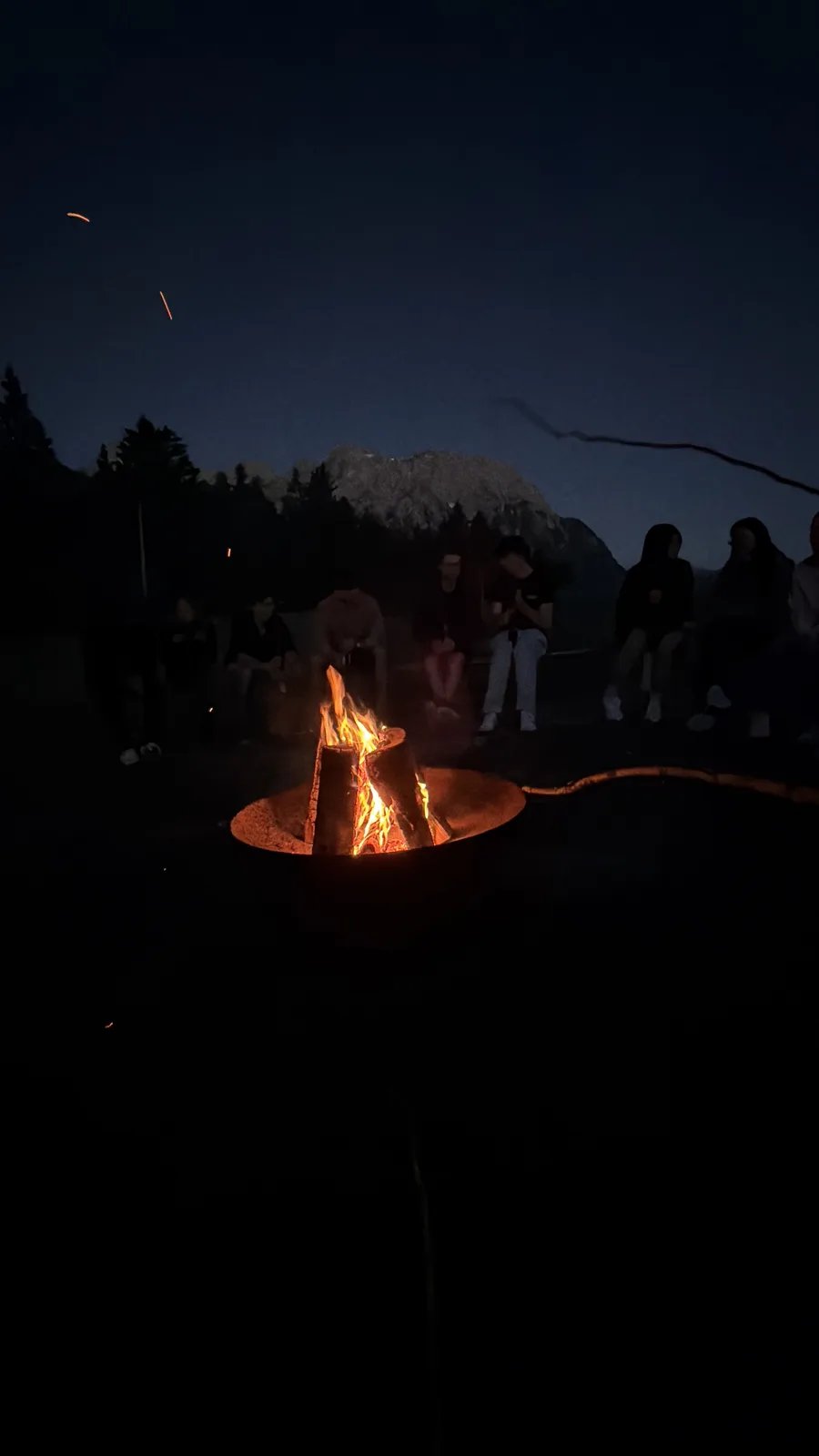 TUM.ai members gathered around a campfire at dusk, with the mountains faintly visible behind them.