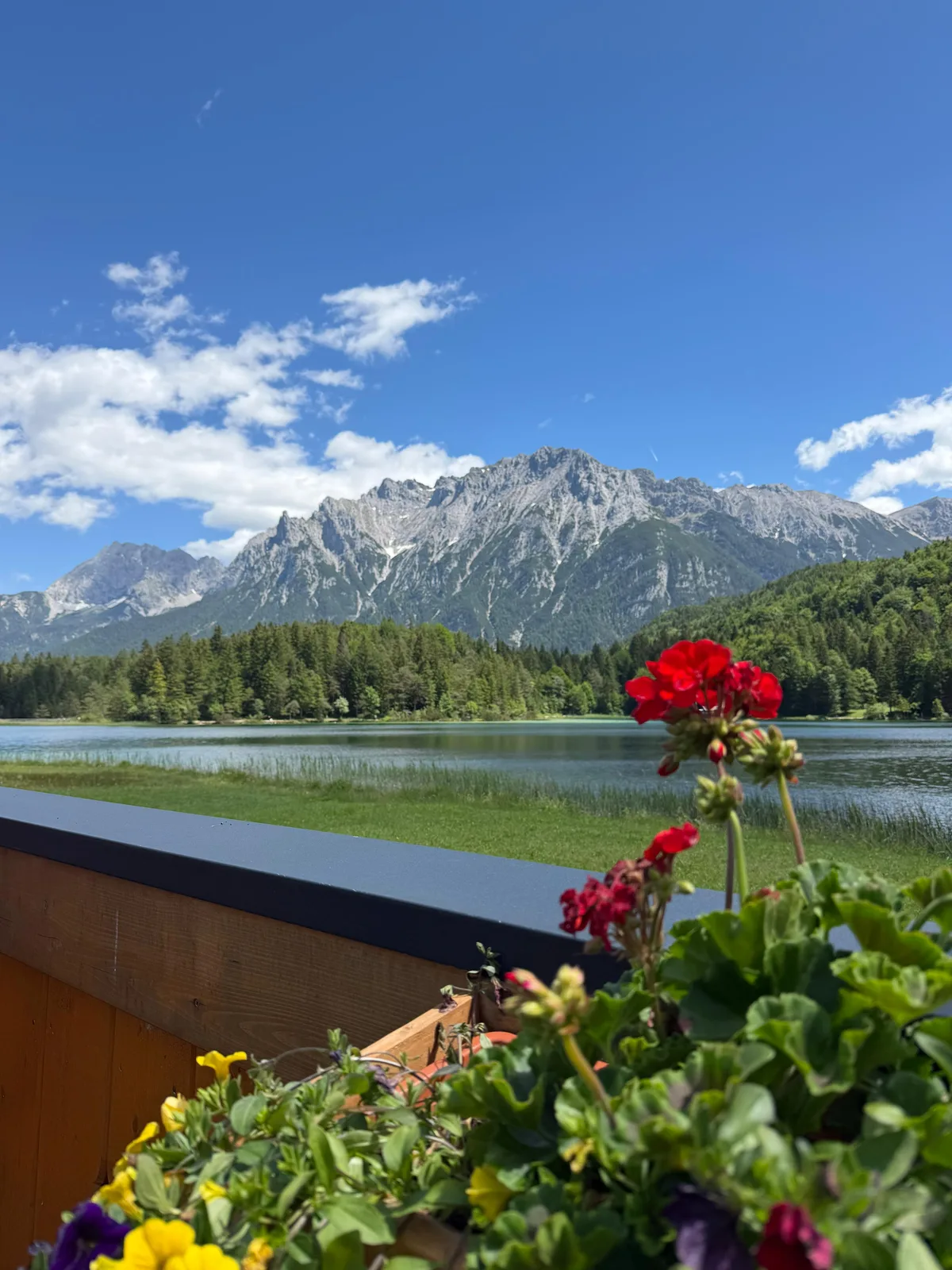 View across Lautersee lake toward the rugged Karwendel mountains under a clear blue sky, with red geraniums in the foreground.